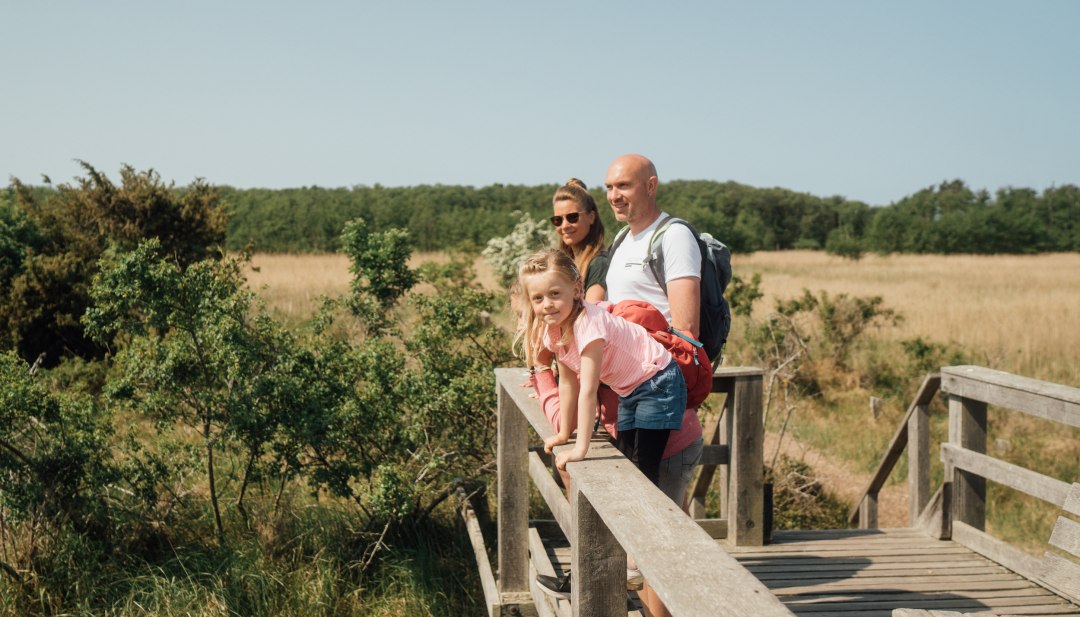 A family stands on a viewpoint in the national park in summer and looks into the distance. // Cuckoo, where are you? Hobby ornithologists get their money's worth in the national park, as the species-rich birdlife offers animal puzzle fun for the whole family. // © MV-T/Petermann A family stands on a viewpoint in the national park in summer and looks into the distance.