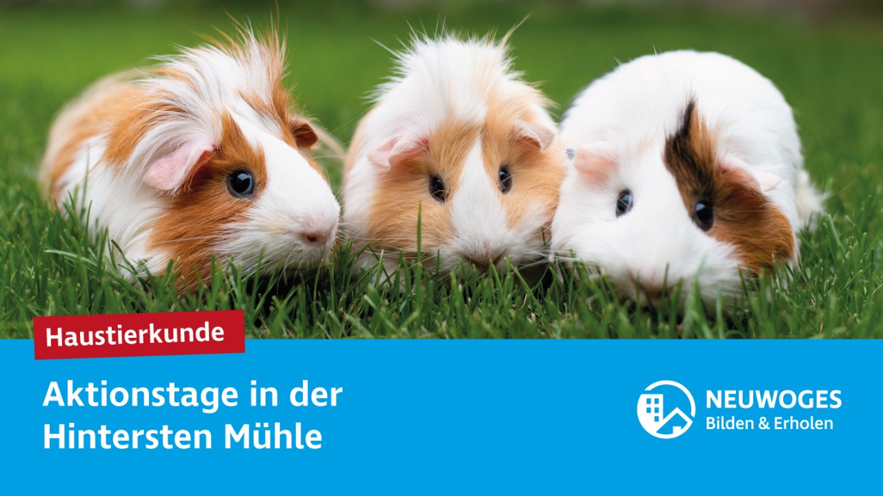 © Neuwoges © Neuwoges