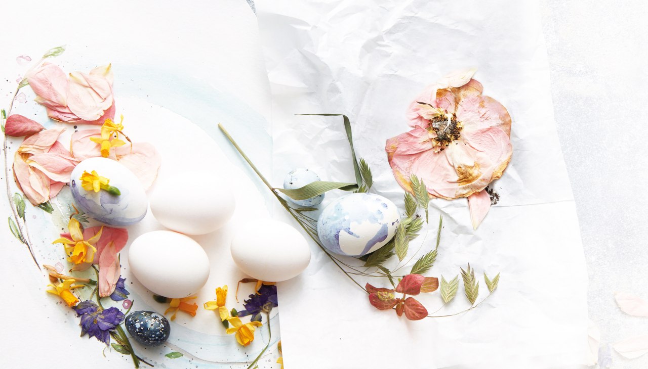 Fr&uuml;hlingsgrafik Netz, &copy; Bernsteinstadt