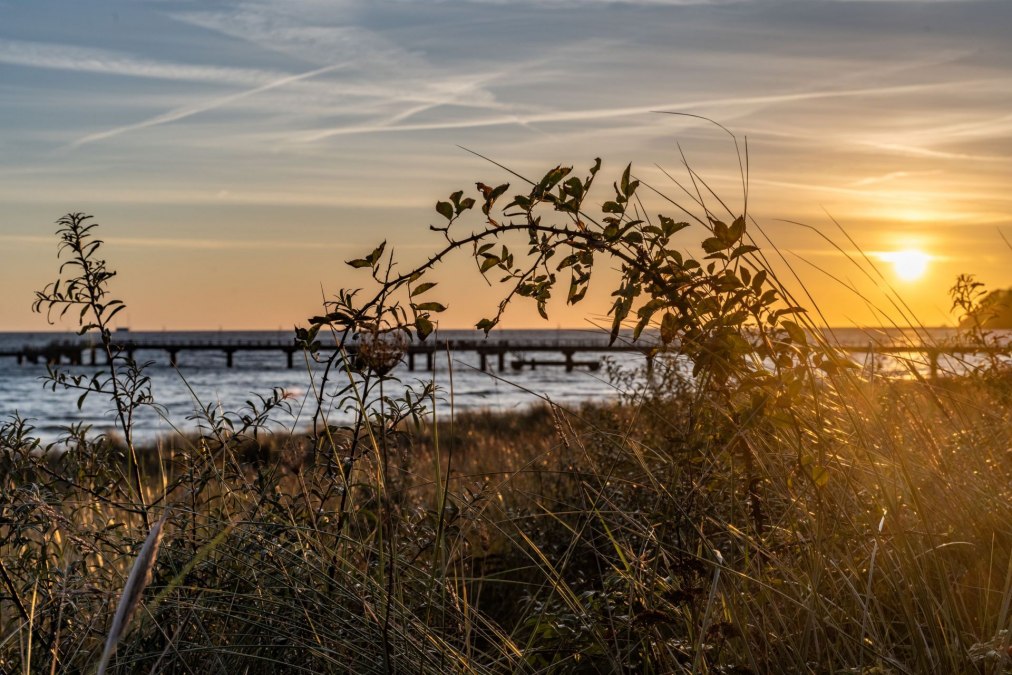 Wycieczka fotograficzna-(c) Lars Wehrmann, © Kurverwaltung Goehren / Lars Wehrmann