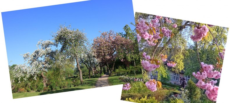 &copy; Backstein-Geist und Garten e.V.