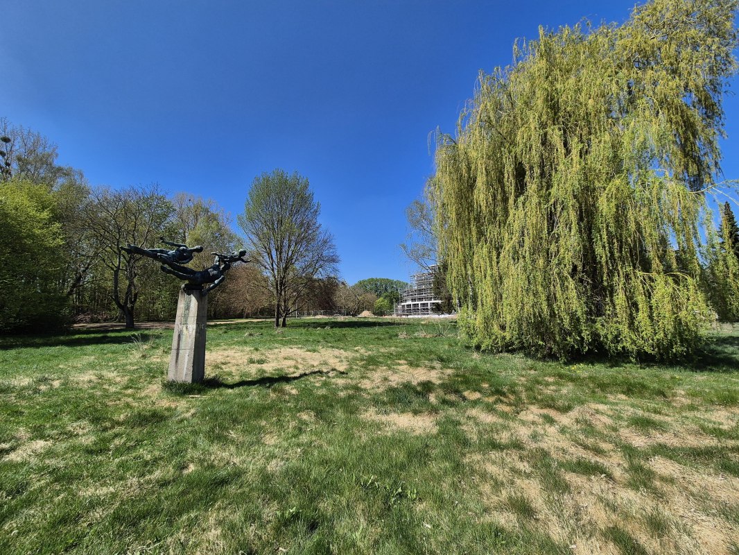 20250420_132237, &copy; Gina Schulenberg