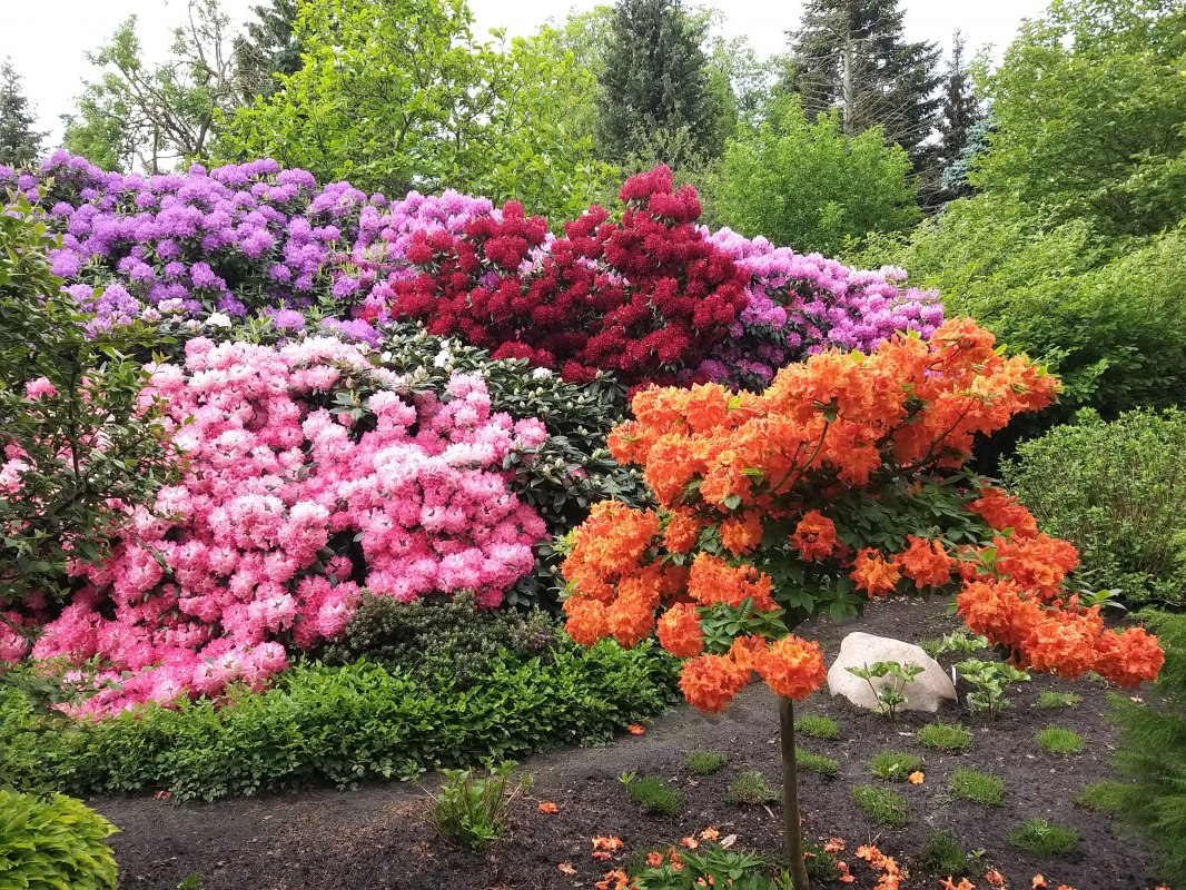 &copy; Botanischer Garten Christiansberg