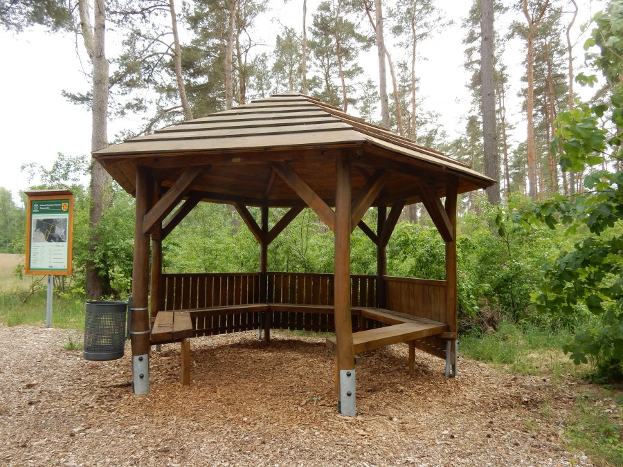 Okrągły autobus Lake Plau, © Rundbus Plauer See/ M. Höppner