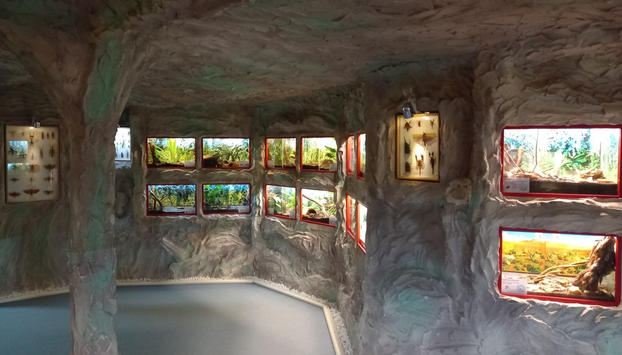 20220310_104732, &copy; Schmetterlingsfarm/Heike Schnelle