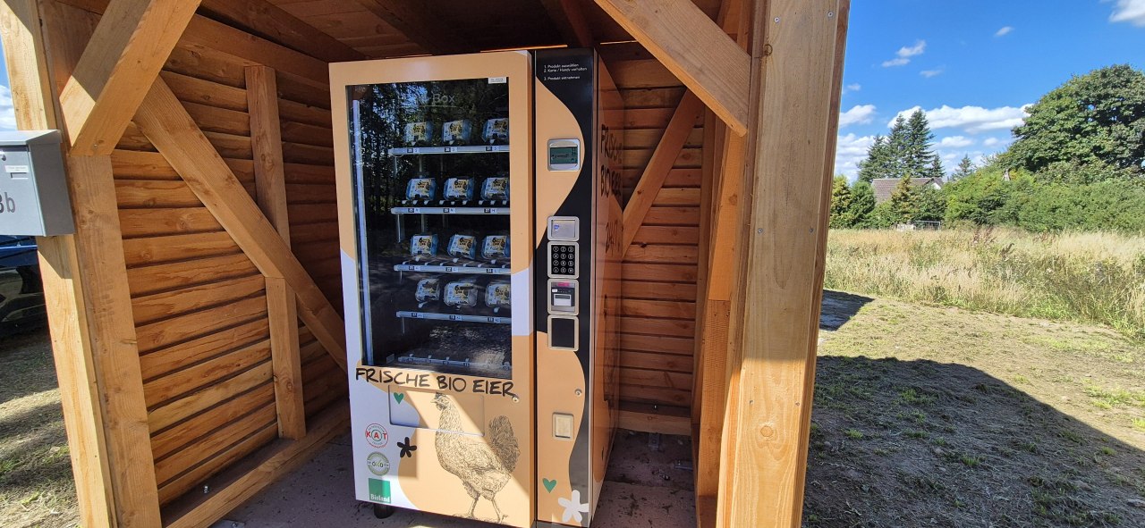 &copy; Gina Schulenberg