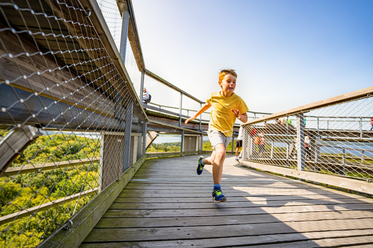 Kinderen op het uitkijkplatform van de boomtopwandeling in het R&uuml;gen Natural Heritage Centre, &copy; Naturerbezentrum_Ruegen
