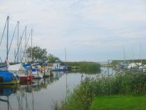 harbour_loddin