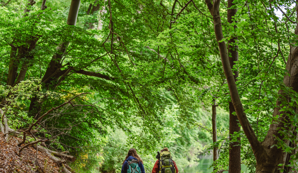 &copy; mvt-g&auml;nsicke