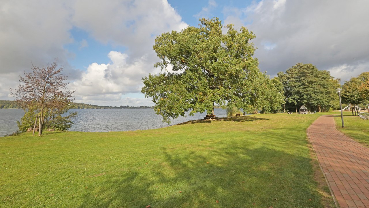 © TMV/Gohlke © TMV/Gohlke