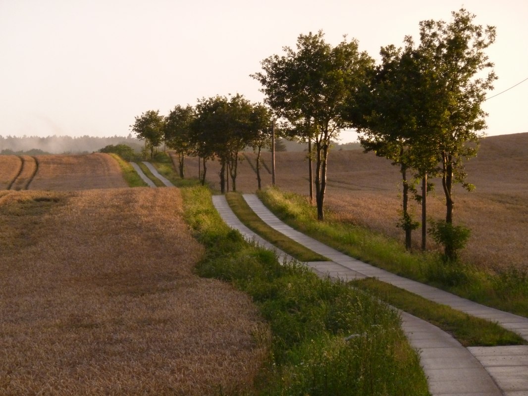 Mecklenburg Switzerland: Path in evening sunshine, &copy; Gutshaus Pohnstorf GbR