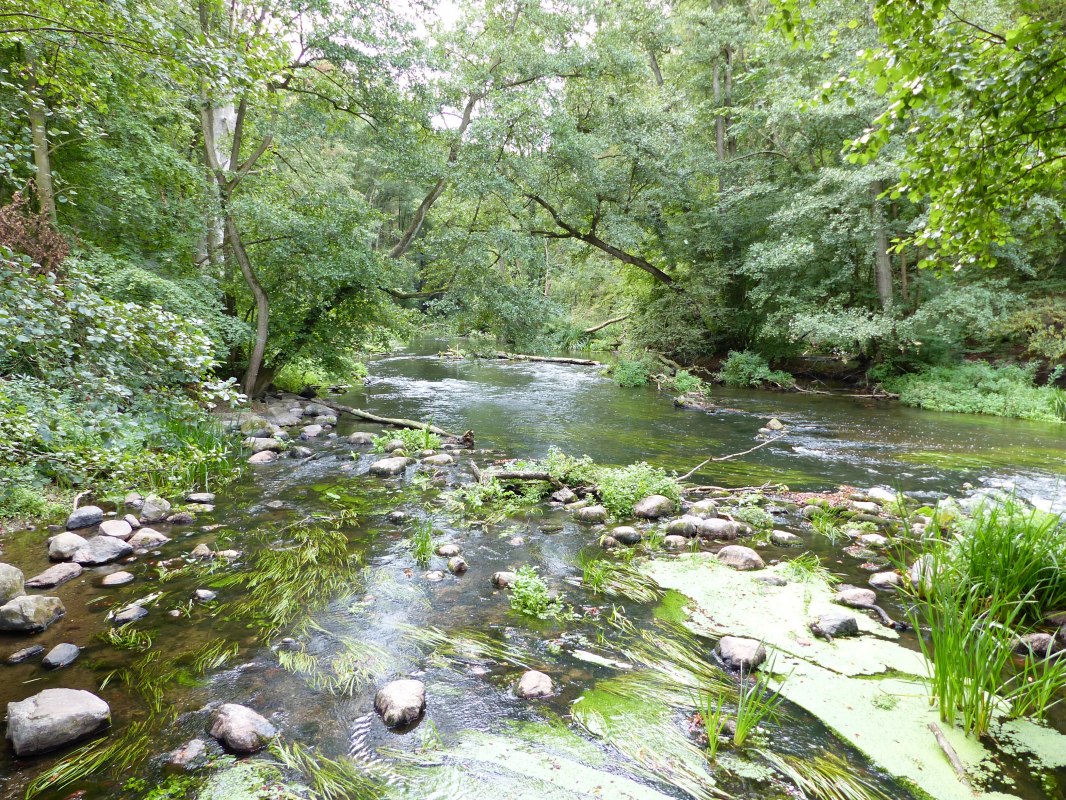 In de Warnow vallei bij Gro&szlig; G&ouml;rnow // &copy; Naturpark Sternberger Seenland