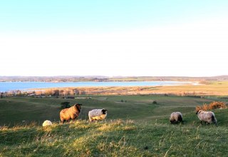 &copy; KV M&ouml;nchgut