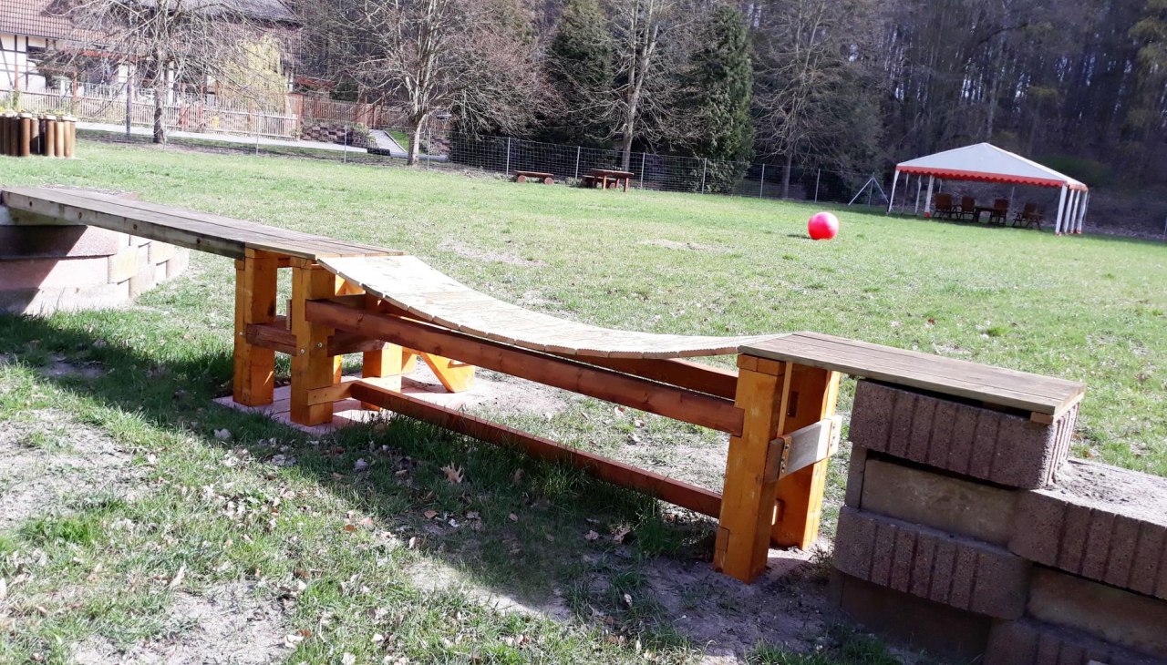 Plac zabaw dla ps&oacute;w Dat Waldhus, &copy; Page Dat Waldhus