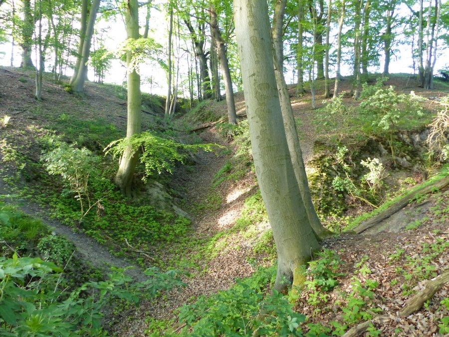 Landschap in de buurt van Langen Brütz, © Naturpark Sternberger Seenland