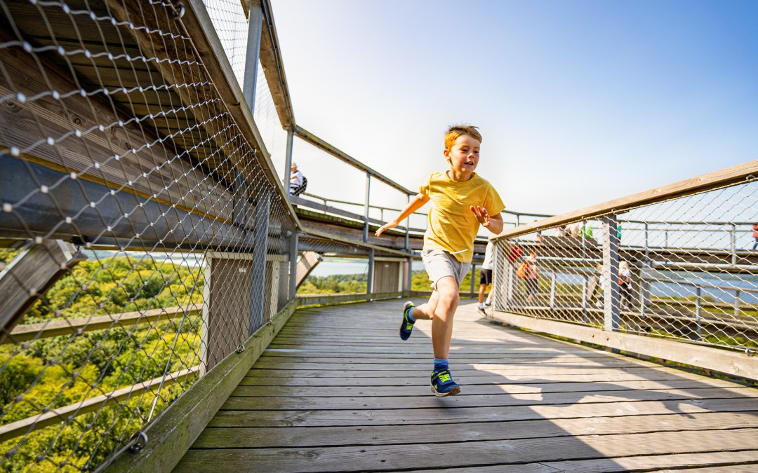 Kinderen op het uitkijkplatform van de boomtopwandeling in het Rügen Natural Heritage Centre, © Naturerbezentrum_Ruegen