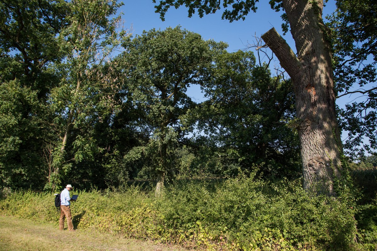 Inspectie van heggen en bomen, © Biosphärenreservatsamt Schaalsee-Elbe Inspectie van heggen en bomen, © Biosphärenreservatsamt Schaalsee-Elbe