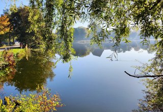 Herbststimmung in den Stralsunder Wallanlagen // &copy; Barbara Hesse