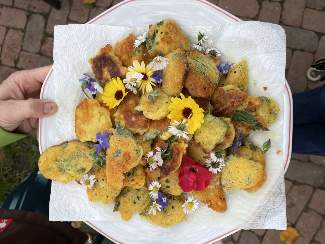 &copy; Britta_Daedelow-Seydl