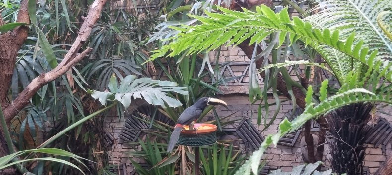 &copy; Zoo Stralsund