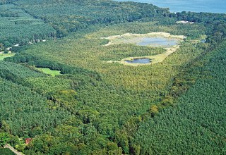 Naturschutzgebiet Wockninsee // &copy; Fotoarchiv Naturpark Insel Usedom