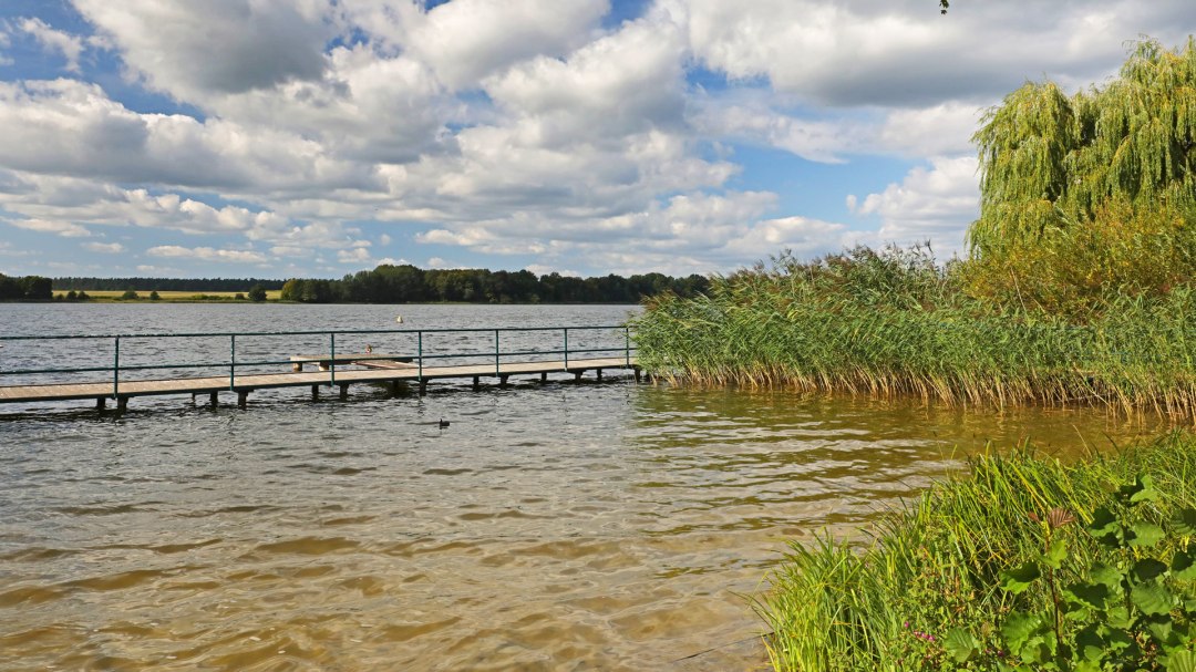 Bathing place at the bathing beach "An der Freiheit" in Priepert_5, © TMV/Gohlke