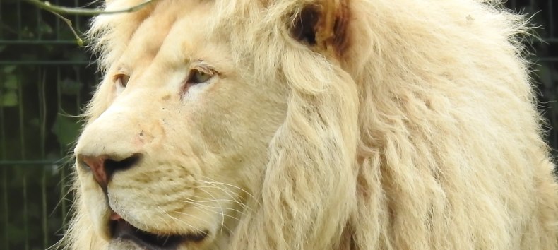 © Hansestadt Stralsund © Hansestadt Stralsund