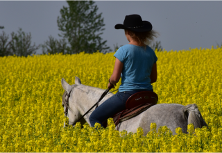 © Hof Peeneland © Hof Peeneland