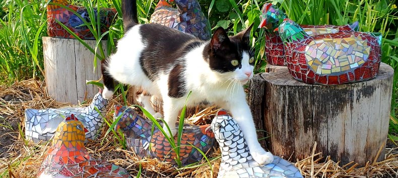 &copy; Dennis Schreib