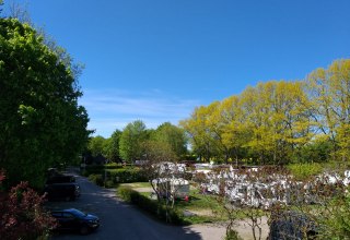 &copy; Marko Scherzer