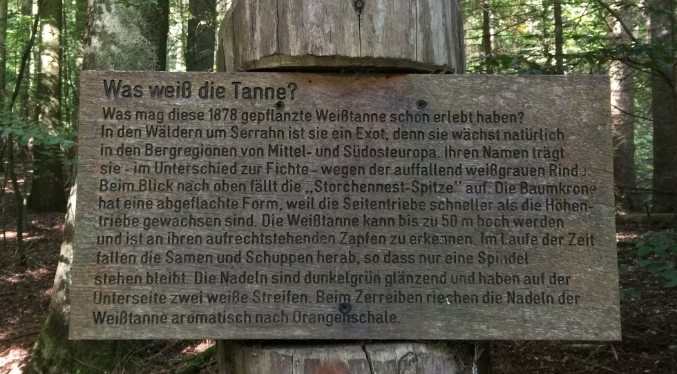 Wycieczka z przewodnikiem po wpisanym na Listę Światowego Dziedzictwa UNESCO "Starożytnym Lesie Bukowym", © Otto Woit