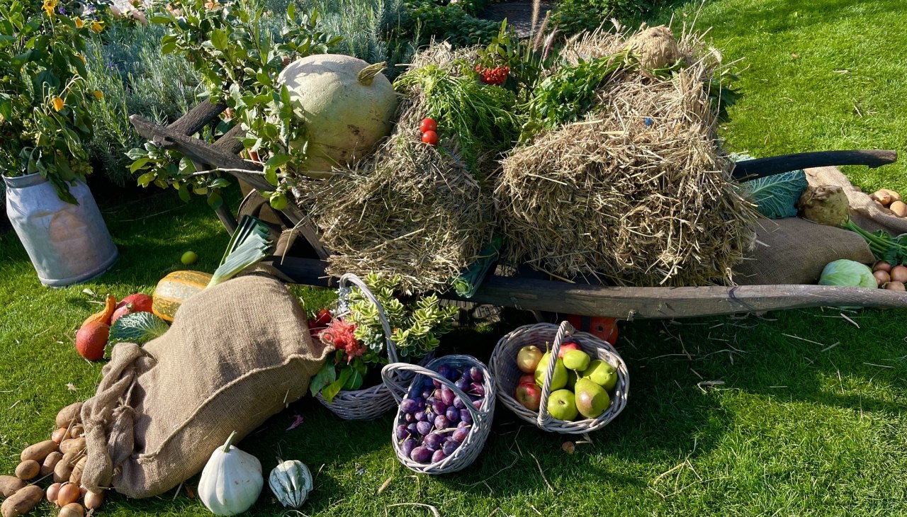 &copy; Kartoffelfest.jpeg