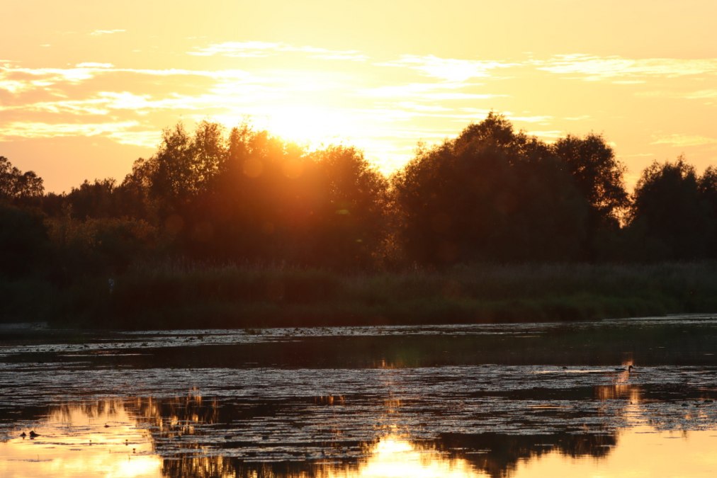 Zonsondergang op de bevertocht, &copy; Corina Posselt