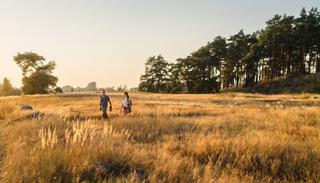 Two hikers cross golden meadows near Menzlin in the Peene Valley as the sun sets over Mecklenburg-Vorpommern.        Sources