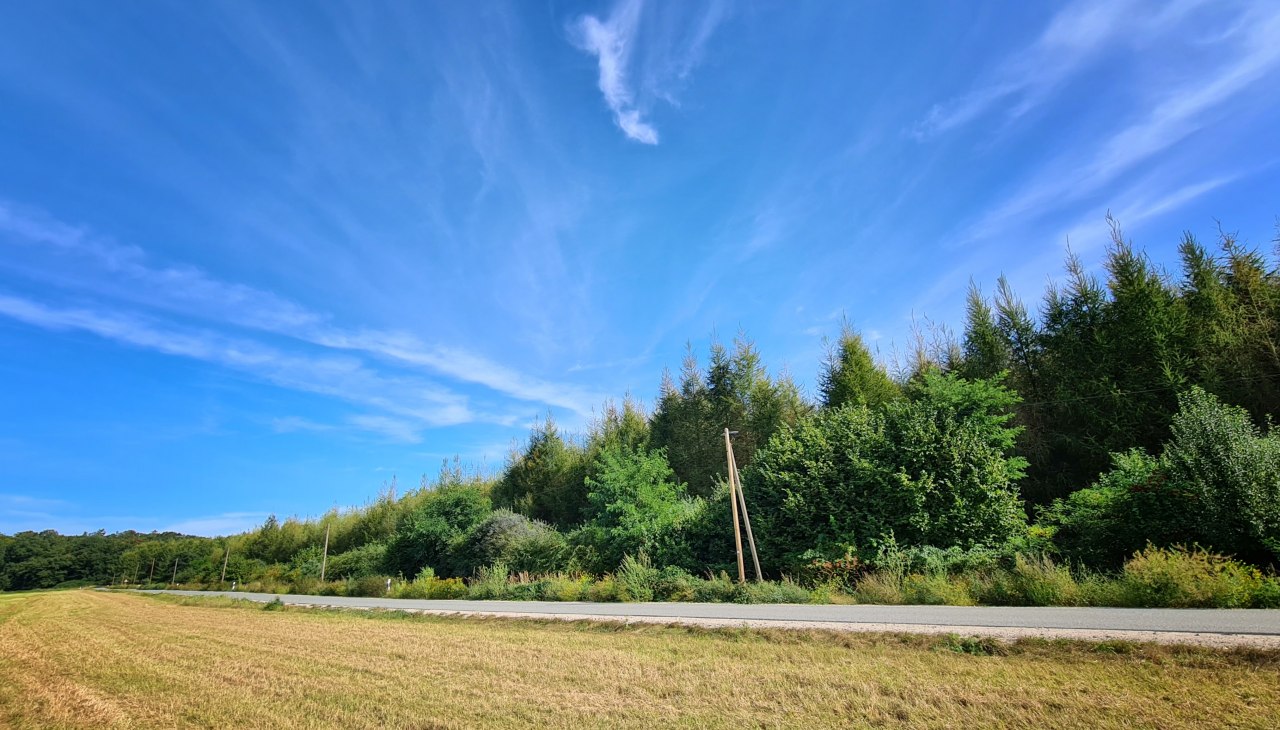 Klimatyczny las Neuhof, © Landesforst MV