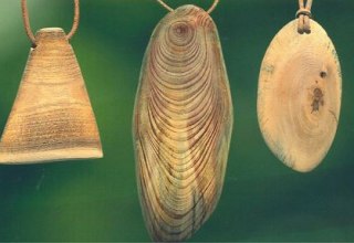 &copy; Susanne Sch&ouml;bel