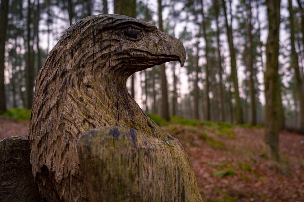 Eagle in the forest // © danielmanastireanu Eagle in the forest // © danielmanastireanu