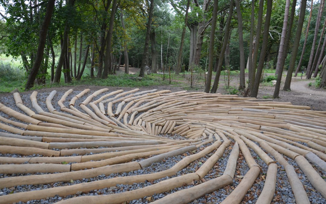 DSC_1112, &copy; Kurverwaltung Feldberger Seenlandschaft