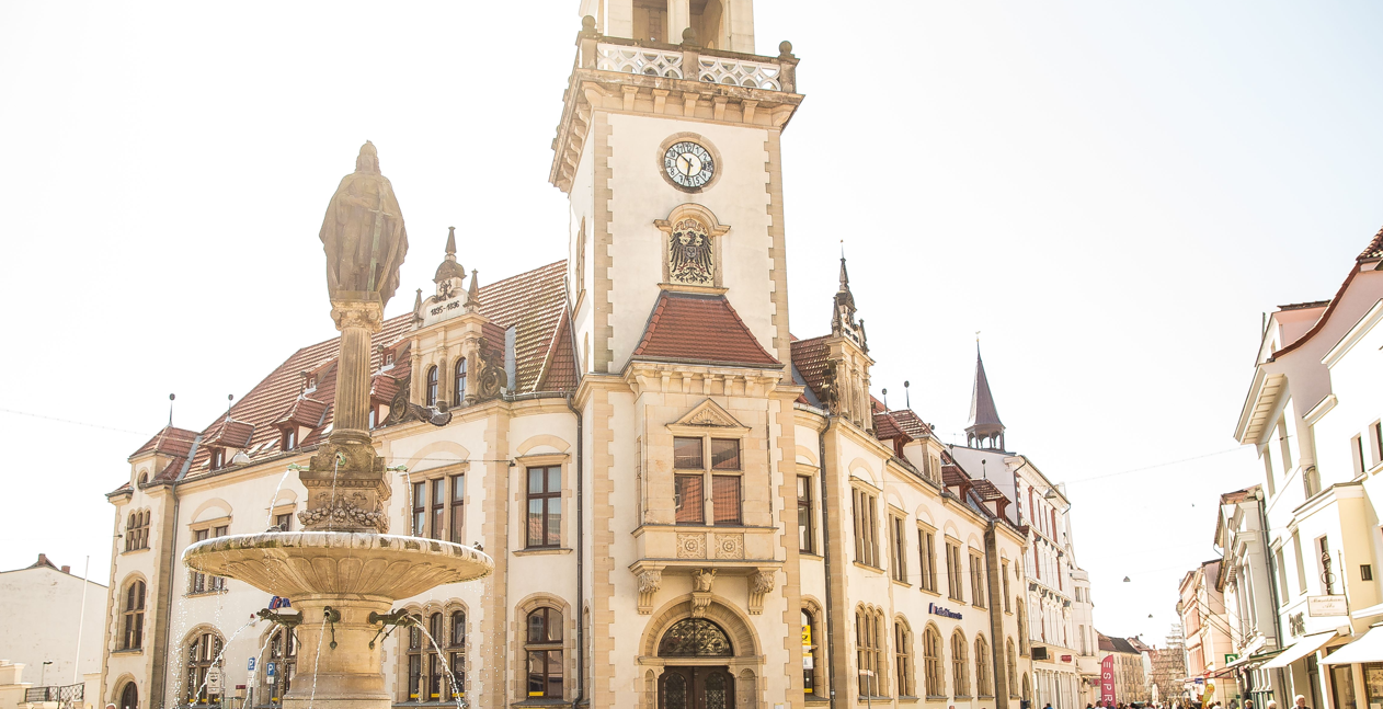 Screenshot 2026-03-11 134558, © Daniel Stohl Screenshot 2026-03-11 134558, © Daniel Stohl