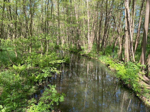 Trasa okrężna burmistrza, &copy; Touristinformationen Wesenberg & Mirow, Mecklenburgische Kleinseenplatte