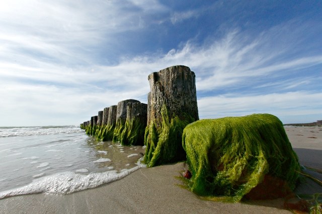 Het hangt af van het perspectief, &copy; copyright Uwe Engler