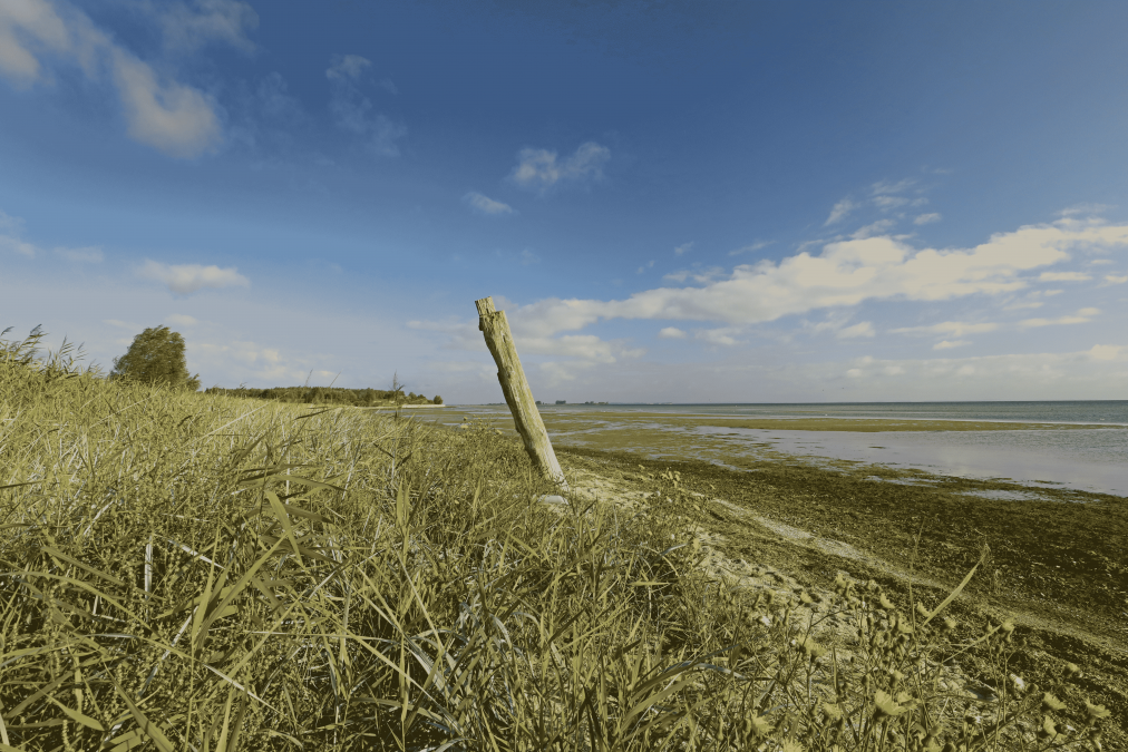 Naturstrand Wampen_5, © TMV/Gohlke