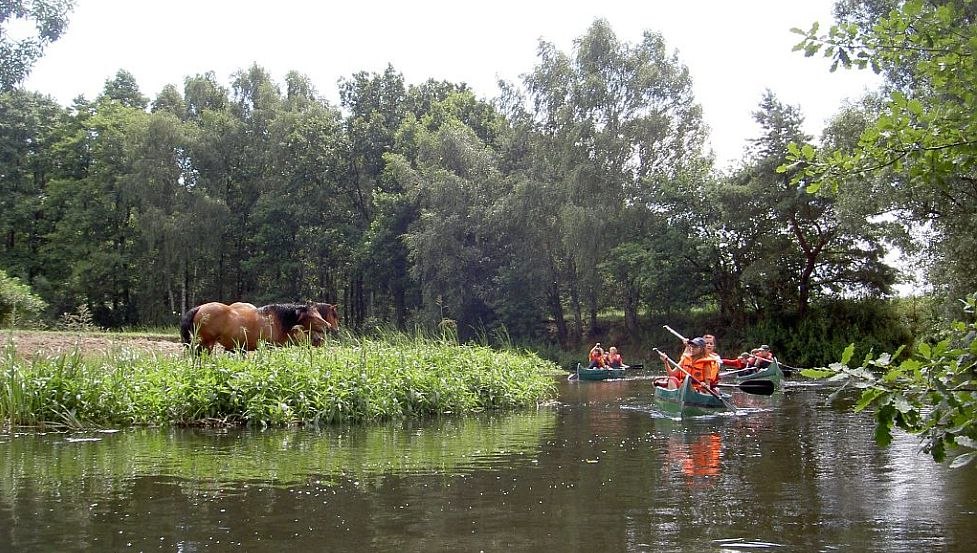 Natuurlijke idylle op de Alte Elde // © Lewitzcamp Garwitz Natuurlijke idylle op de Alte Elde // © Lewitzcamp Garwitz