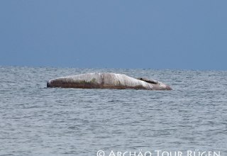 De "Buhskam" ligt in het midden van de Oostzee // &copy; Arch&auml;o Tour R&uuml;gen