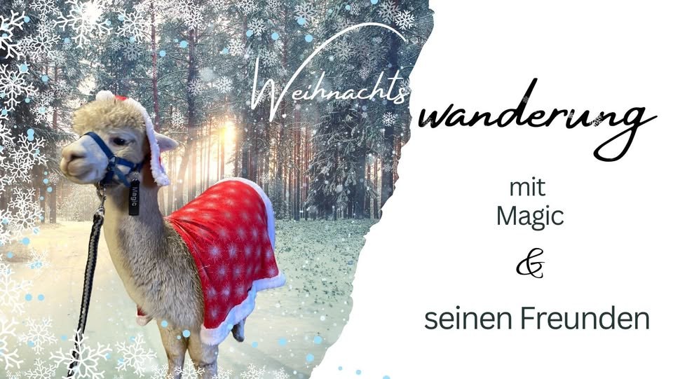 482322913_947282280942679_2607895951587786338_n, © Hof Birkenkamp 482322913_947282280942679_2607895951587786338_n, © Hof Birkenkamp