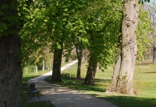 © Stadt Parchim © Stadt Parchim