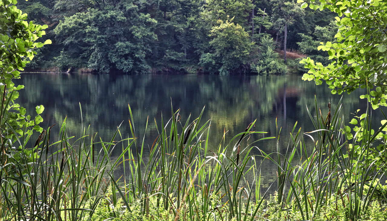 zwart-meer-in-de-granitz_2, © TMV/Gohlke