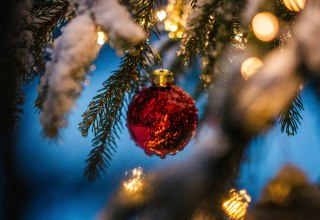 © Foto von Silas Baisch auf Unsplash © Foto von Silas Baisch auf Unsplash