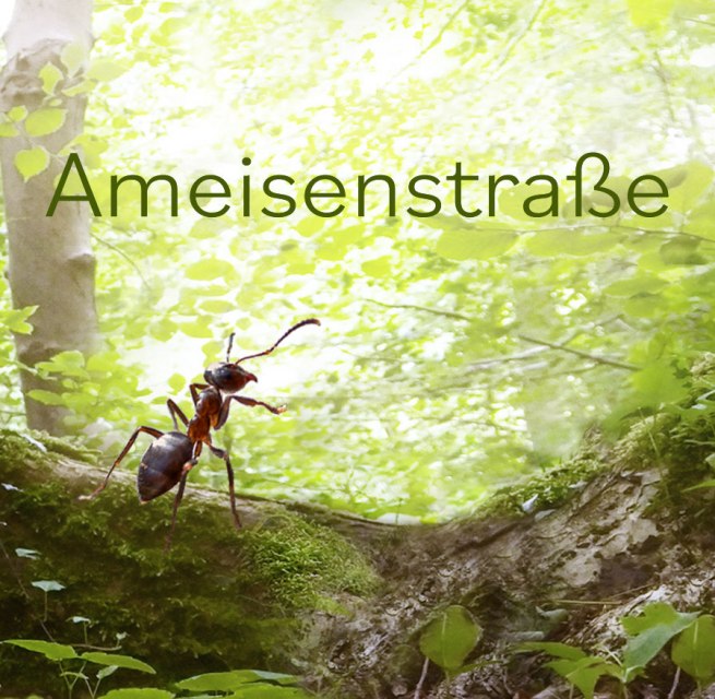 © fredak-mv.de © fredak-mv.de