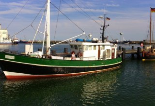 © E. Speck © E. Speck